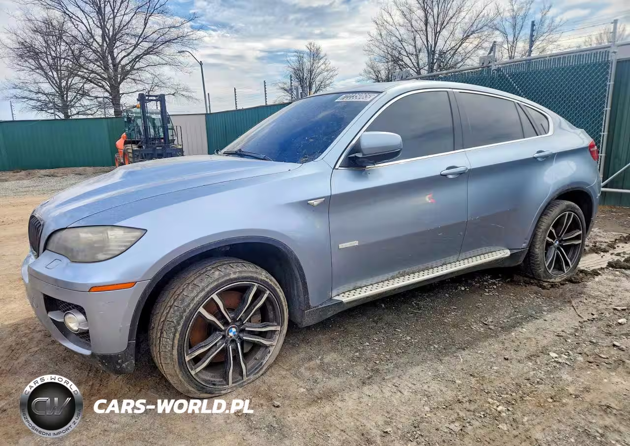 2010 BMW X6 Hybrid