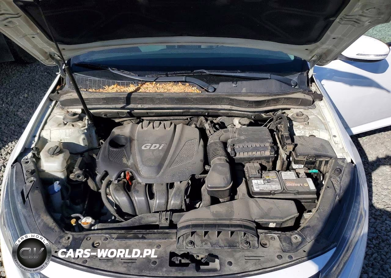 2015 Kia Optima Lx VIN:KNAGM4A75F5584331 - 11