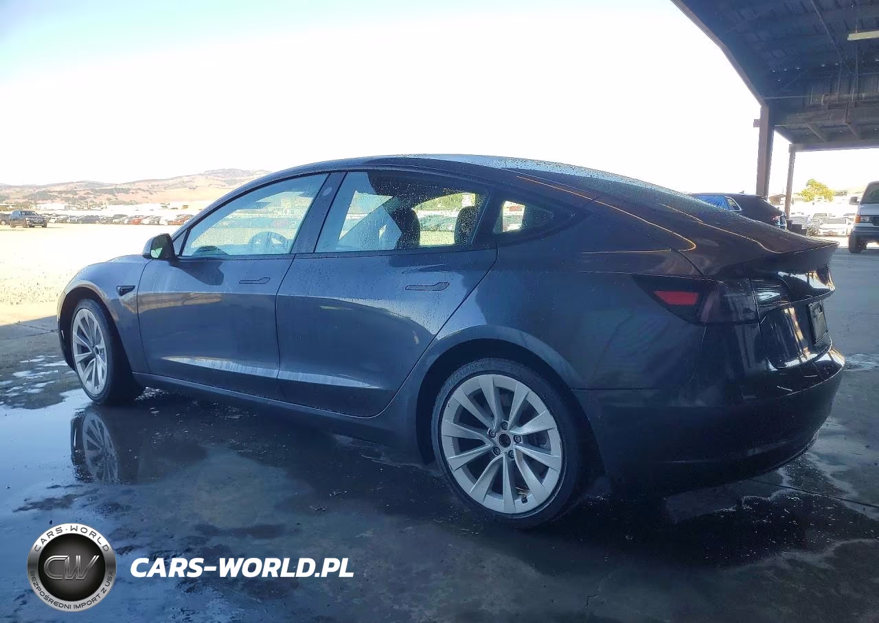 2022 Tesla Model 3 VIN:5YJ3E1EB4NF300860 - 2
