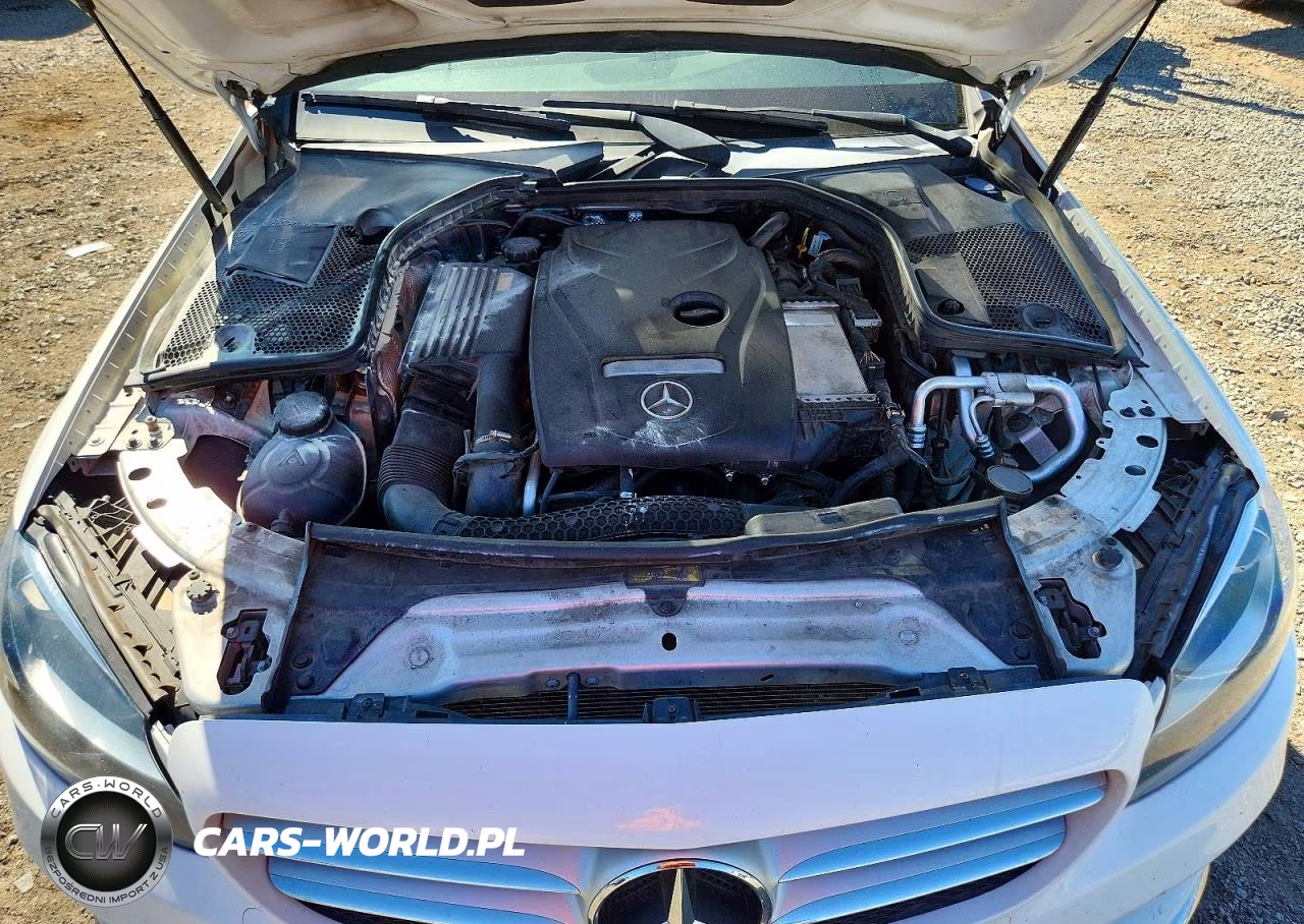 2017 Mercedes-Benz C 300 VIN:55SWF4JB6HU205916 - 11