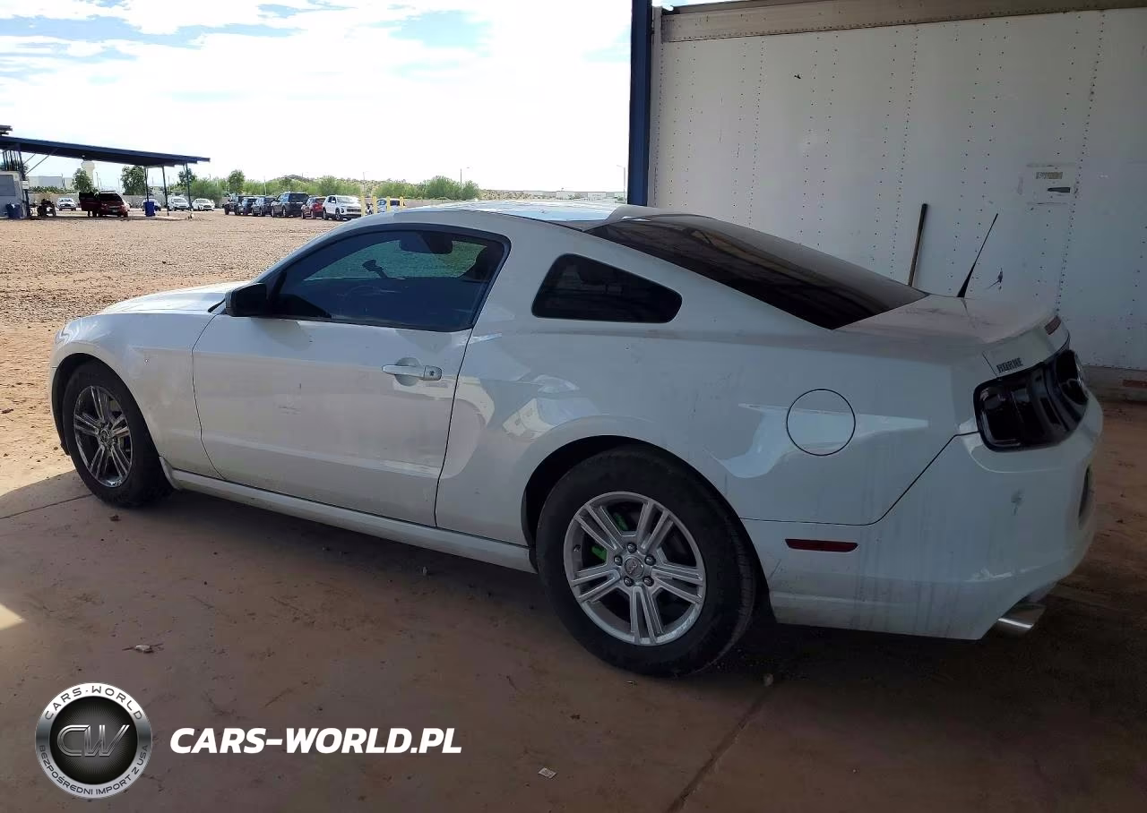 2014 Ford Mustang VIN:1ZVBP8AM6E5205205 - 2