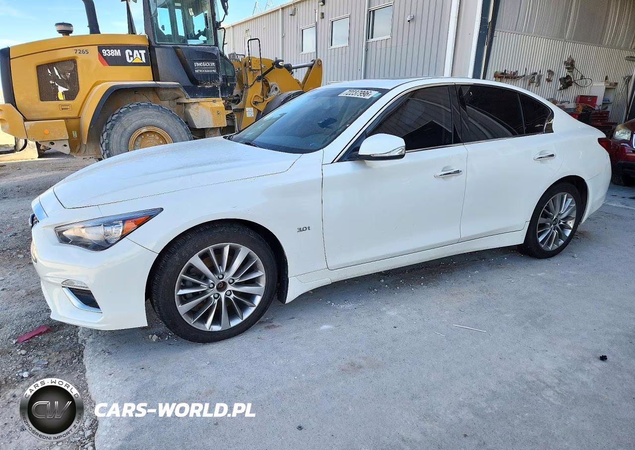 2019 Infiniti Q50 3.0T Luxe VIN:JN1EV7ARXKM592096 - 1
