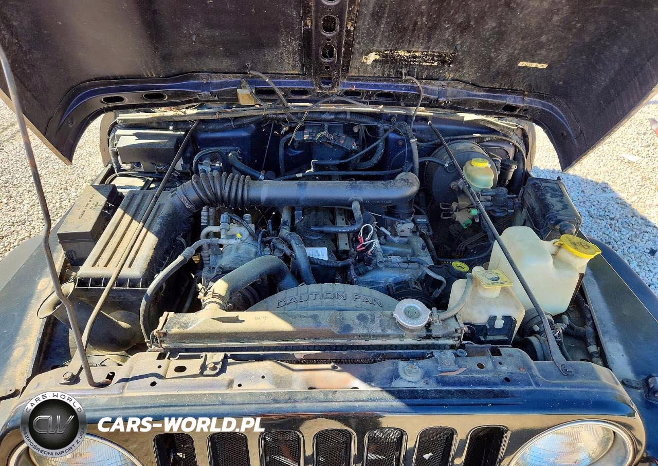 1998 Jeep Wrangler - Tj Sport VIN:1J4FY19S1WP705624 - 11