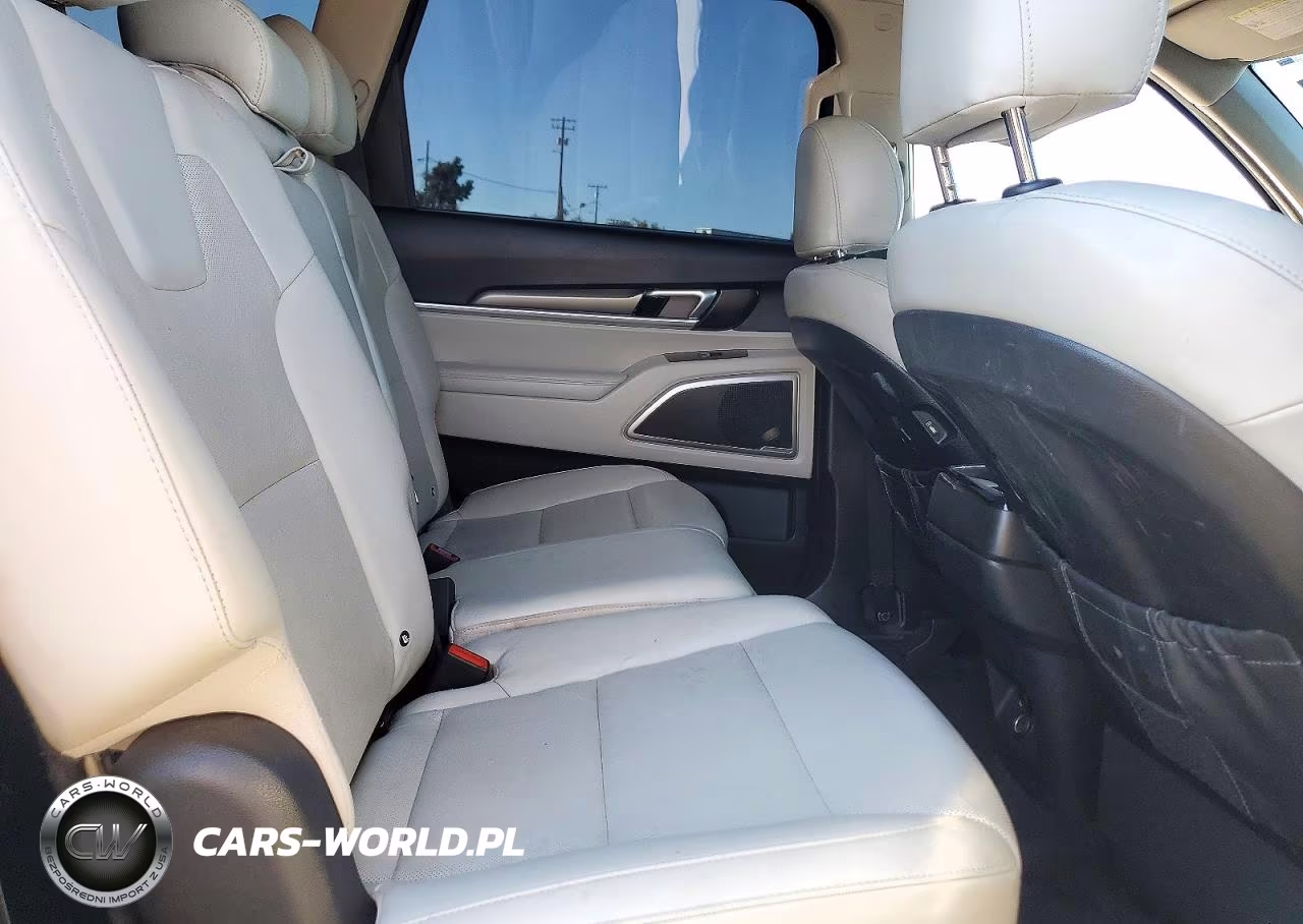 2020 Kia Telluride S VIN:5XYP6DHC0LG095032 - 11