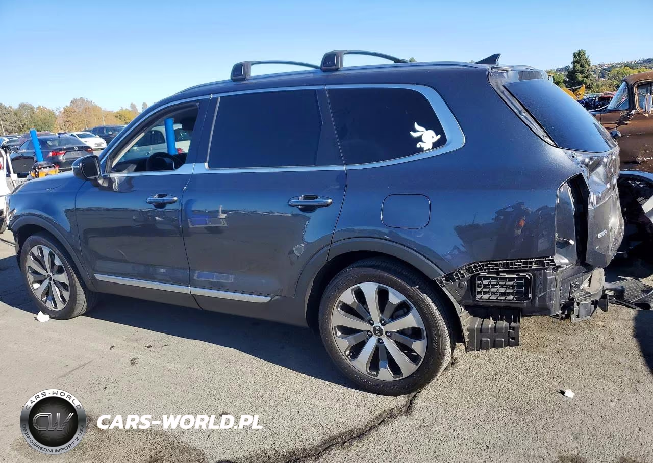2020 Kia Telluride S VIN:5XYP6DHC0LG095032 - 2