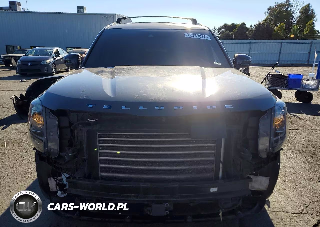 2020 Kia Telluride S VIN:5XYP6DHC0LG095032 - 5