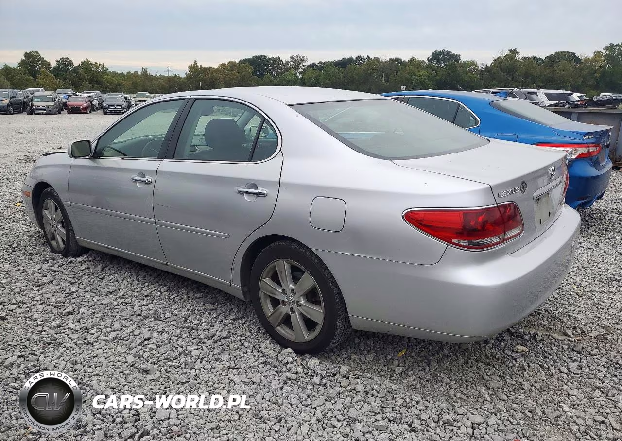 2005 Lexus Es 330 VIN:JTHBA30G955140187 - 2