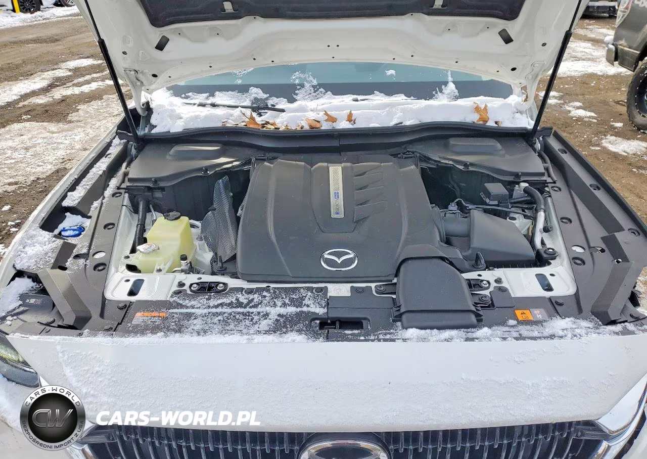 2024 Mazda Cx-90 Preferred VIN:JM3KKBHA7R1158135 - 12