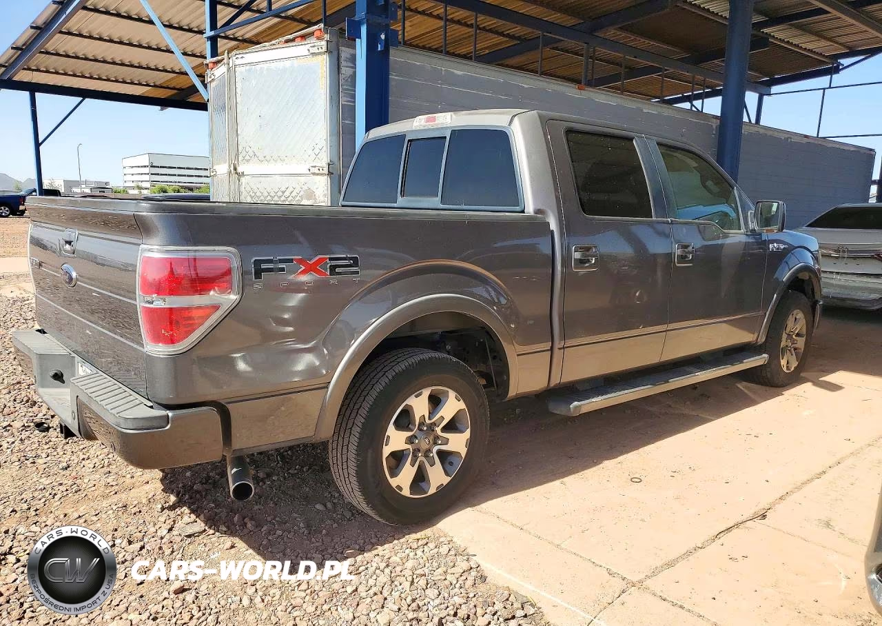 2010 Ford F150 Supercrew VIN:1FTEW1C85AKE29684 - 3