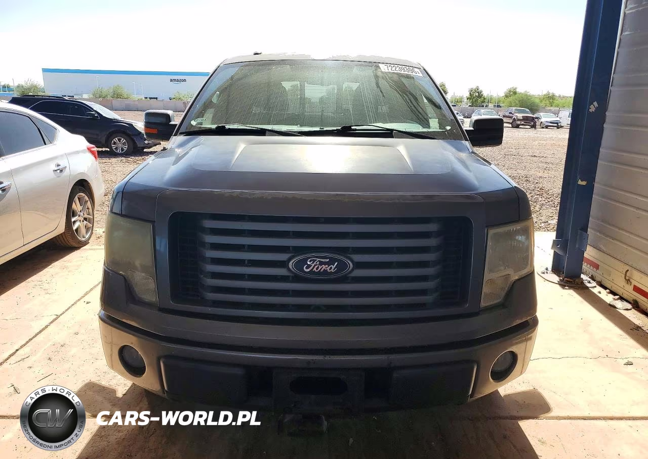 2010 Ford F150 Supercrew VIN:1FTEW1C85AKE29684 - 5