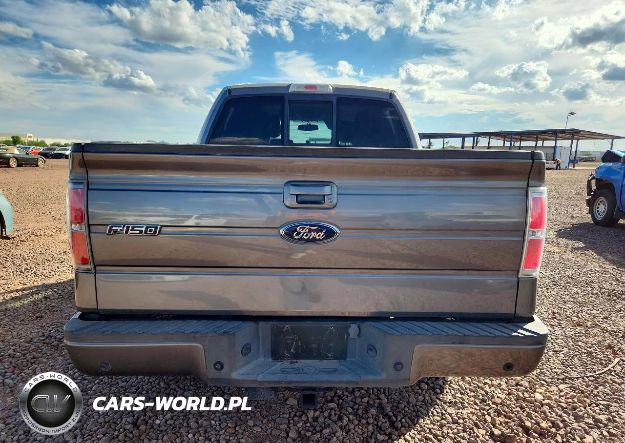 2010 Ford F150 Supercrew VIN:1FTEW1C85AKE29684 - 6