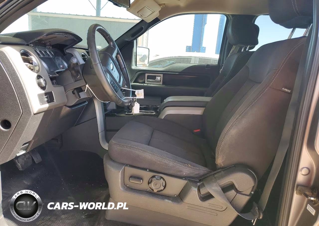 2010 Ford F150 Supercrew VIN:1FTEW1C85AKE29684 - 7