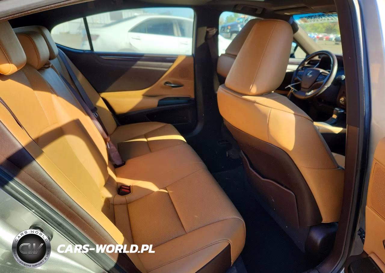 2020 Lexus Es 350 VIN:58ADZ1B17LU052410 - 10