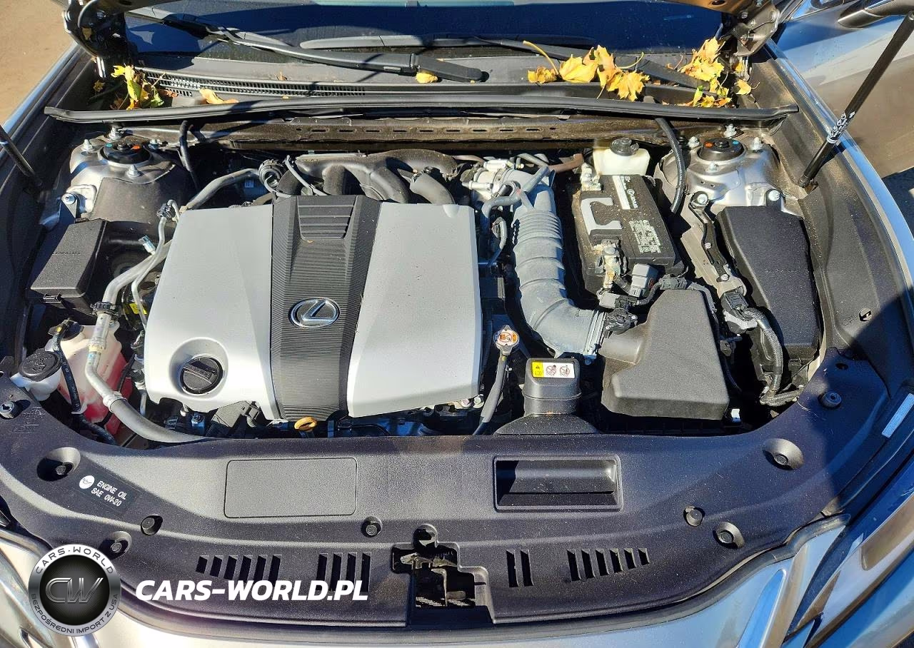 2020 Lexus Es 350 VIN:58ADZ1B17LU052410 - 11