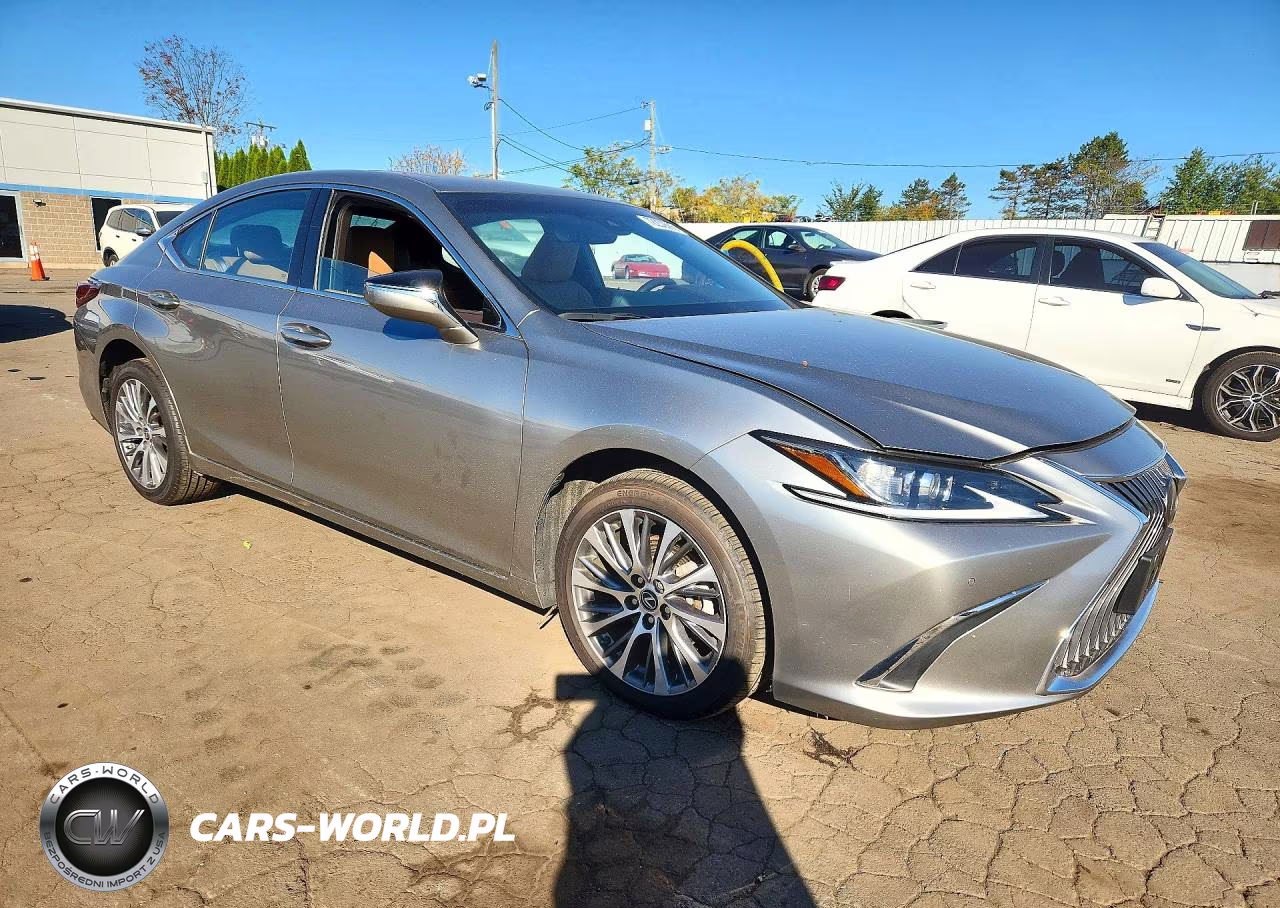 2020 Lexus Es 350 VIN:58ADZ1B17LU052410 - 4
