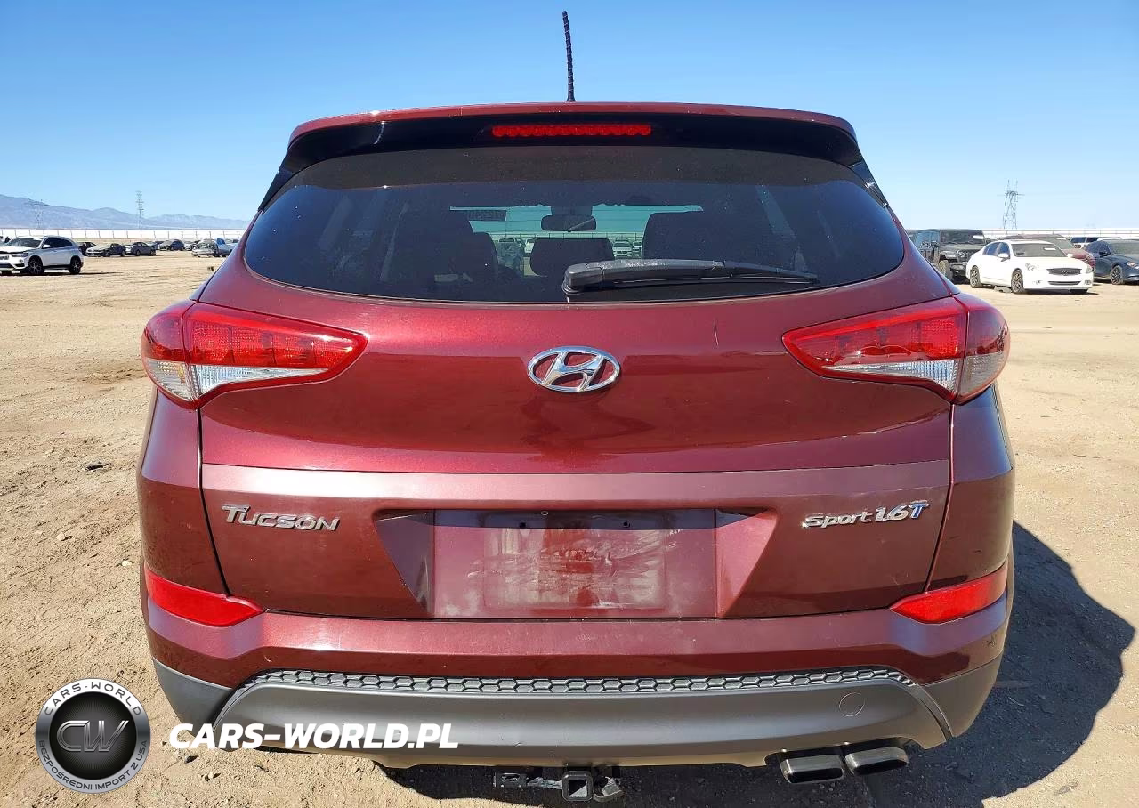 2016 Hyundai Tucson Sport VIN:KM8J33A26GU114046 - 6