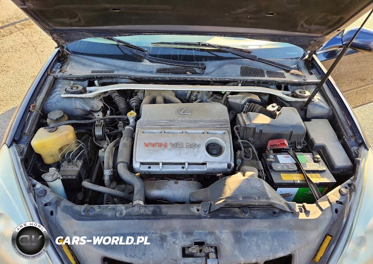 2002 Lexus Es 300 VIN:JTHBF30G625004144 - 11