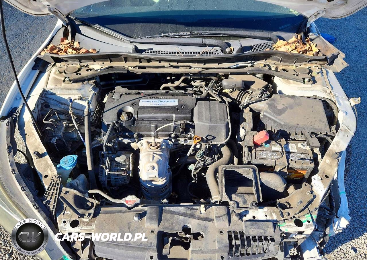 2014 Honda Accord Ex VIN:1HGCR2F74EA236852 - 11