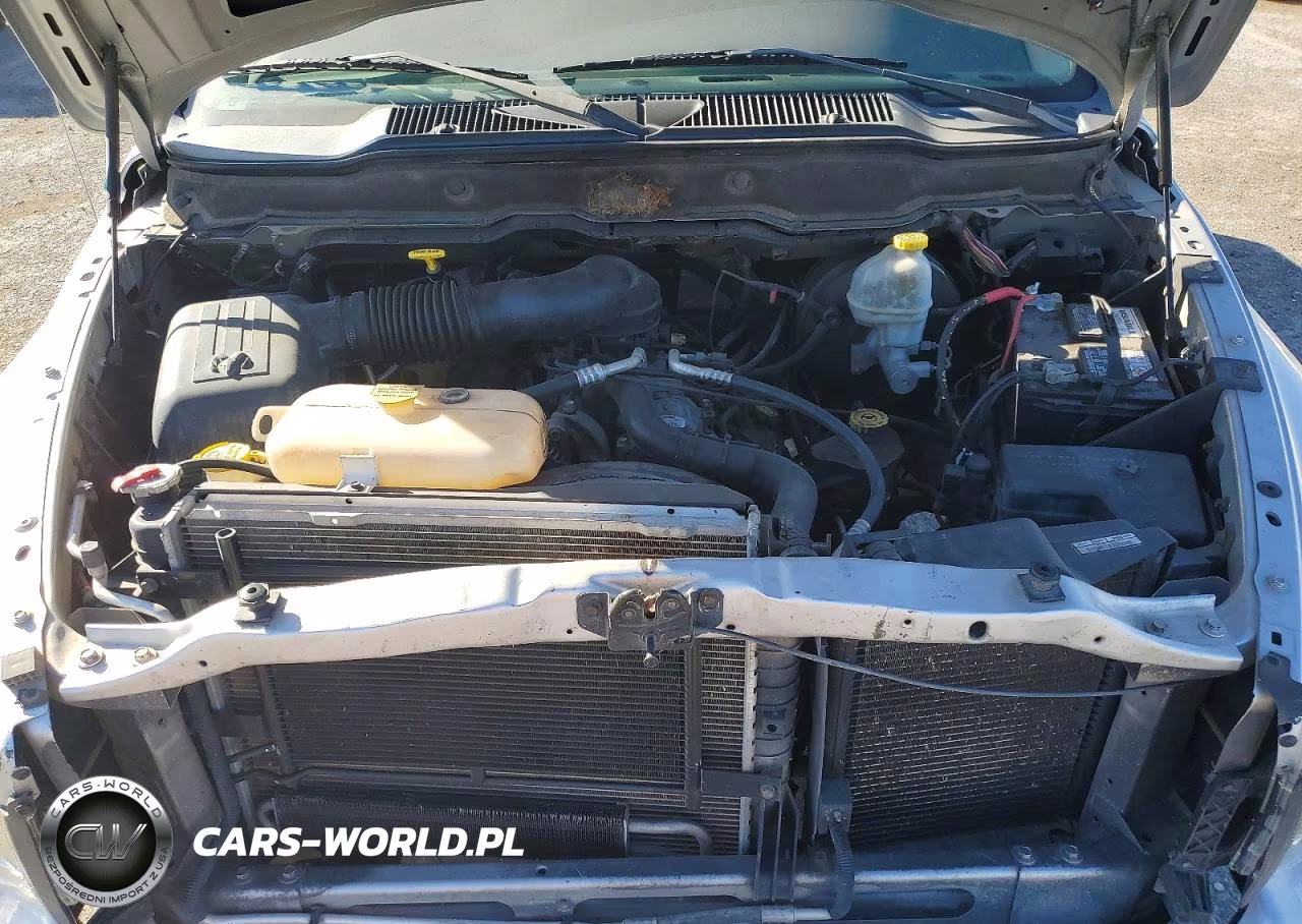 2002 Dodge Ram 1500 VIN:1D7HA18Z82J251134 - 11