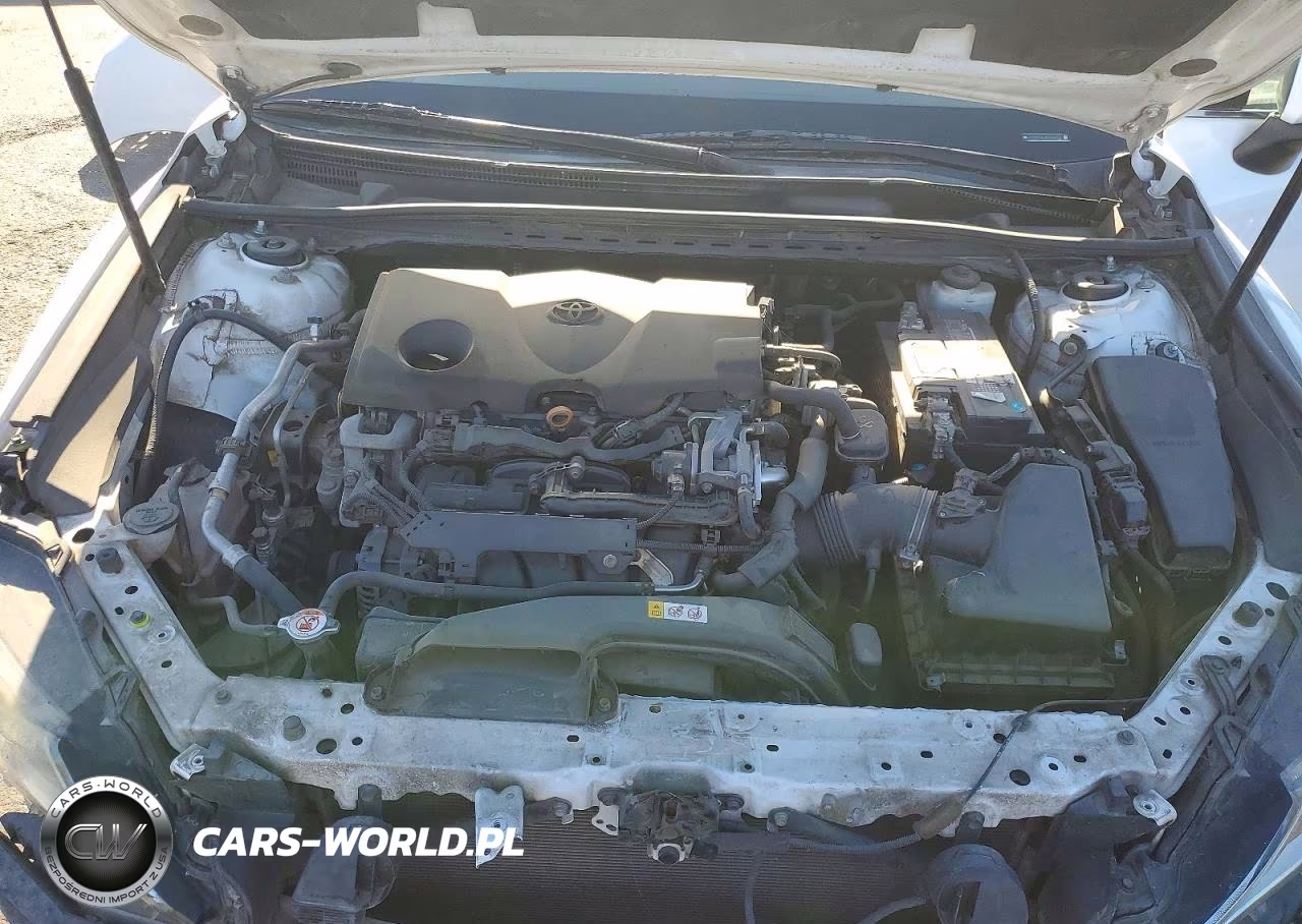 2019 Toyota Camry L VIN:4T1B11HK3KU254214 - 11