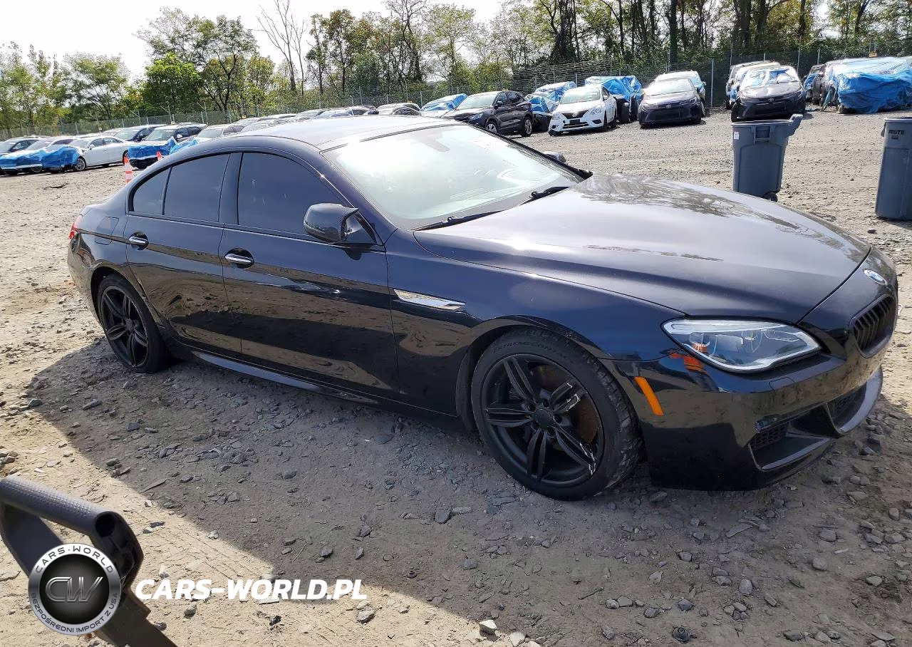 2016 BMW 650 Xi Gran Coupe VIN:WBA6D6C52GG387965 - 4