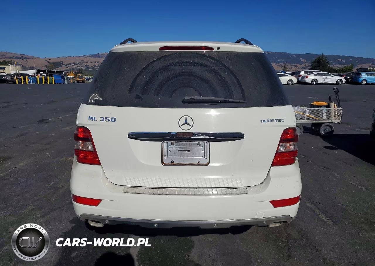 2010 Mercedes-Benz Ml 350 Bluetec VIN:4JGBB2FB0AA621141 - 6