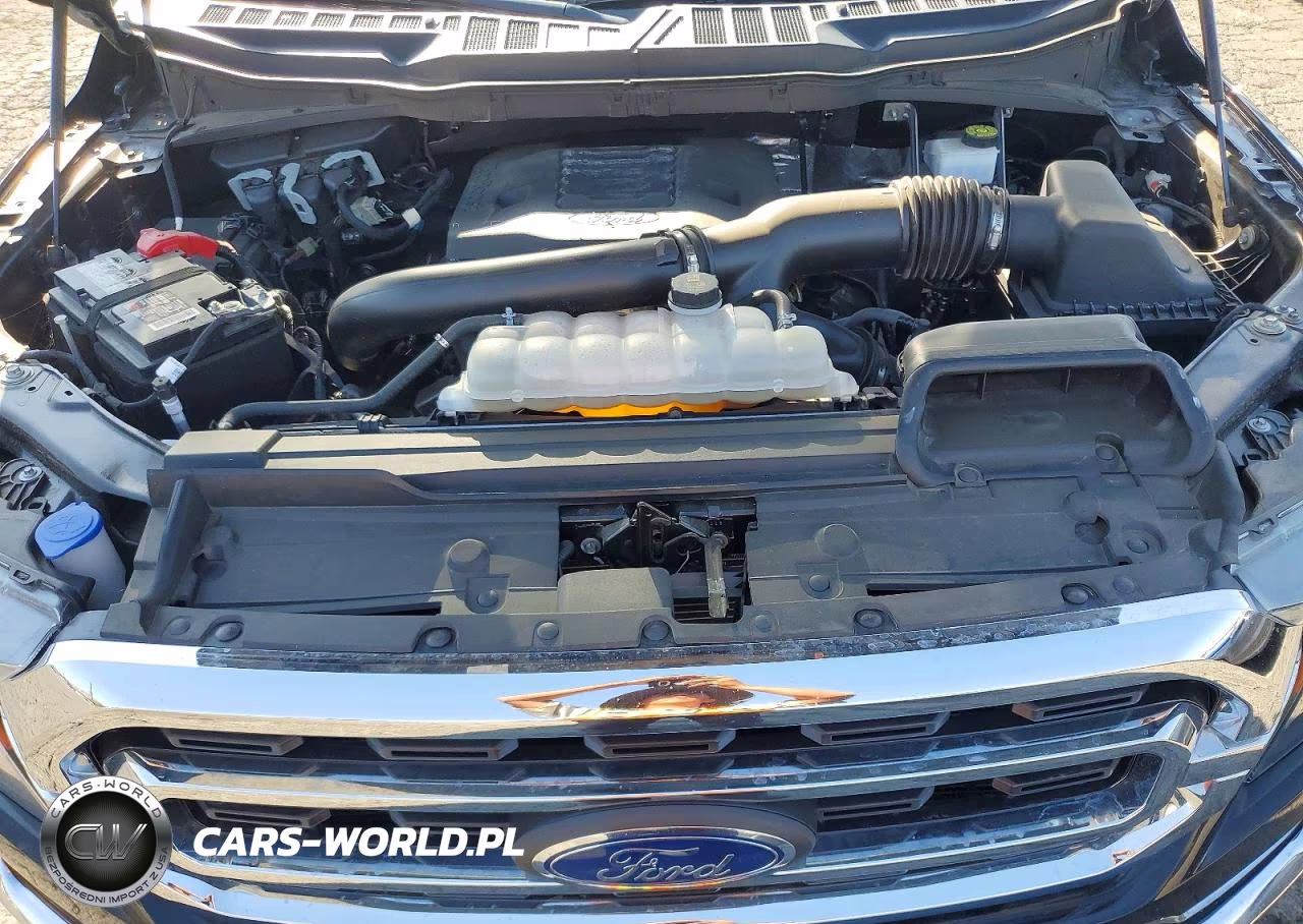 2023 Ford F150 Supercrew VIN:1FTEW1C88PKD24498 - 11