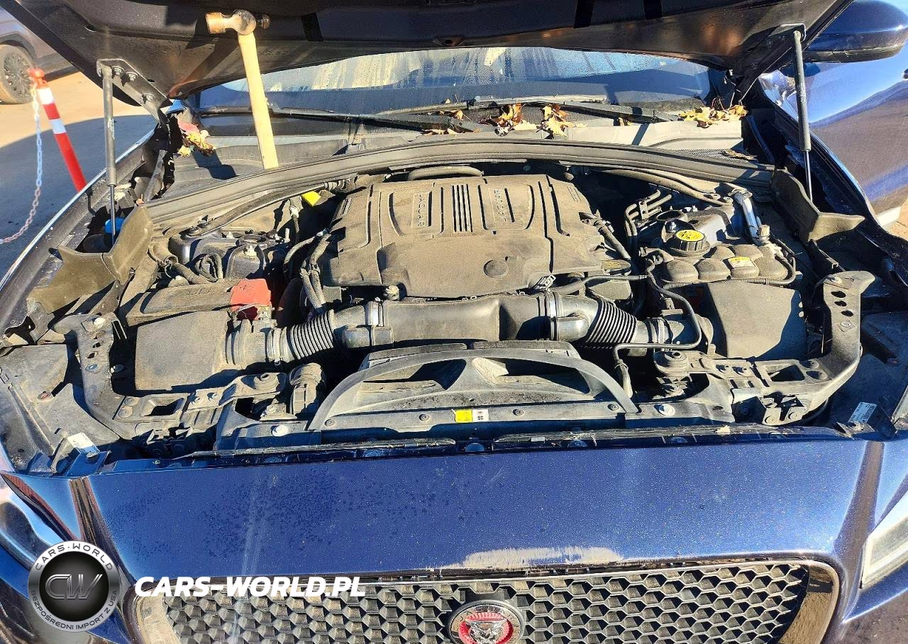 2017 Jaguar F-Pace Prestige VIN:SADCK2BV0HA495810 - 12