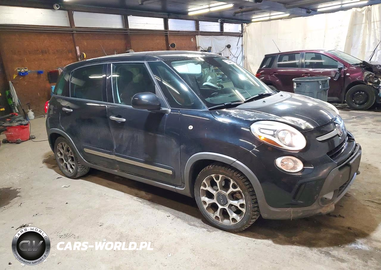 2014 Fiat 500L Trekking VIN:ZFBCFADHXEZ007688 - 4
