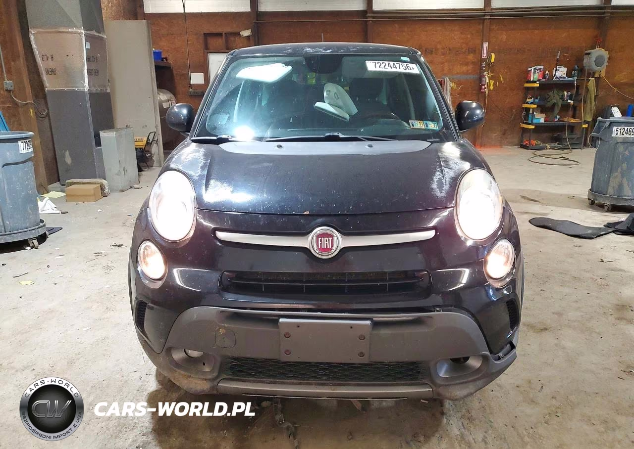 2014 Fiat 500L Trekking VIN:ZFBCFADHXEZ007688 - 5