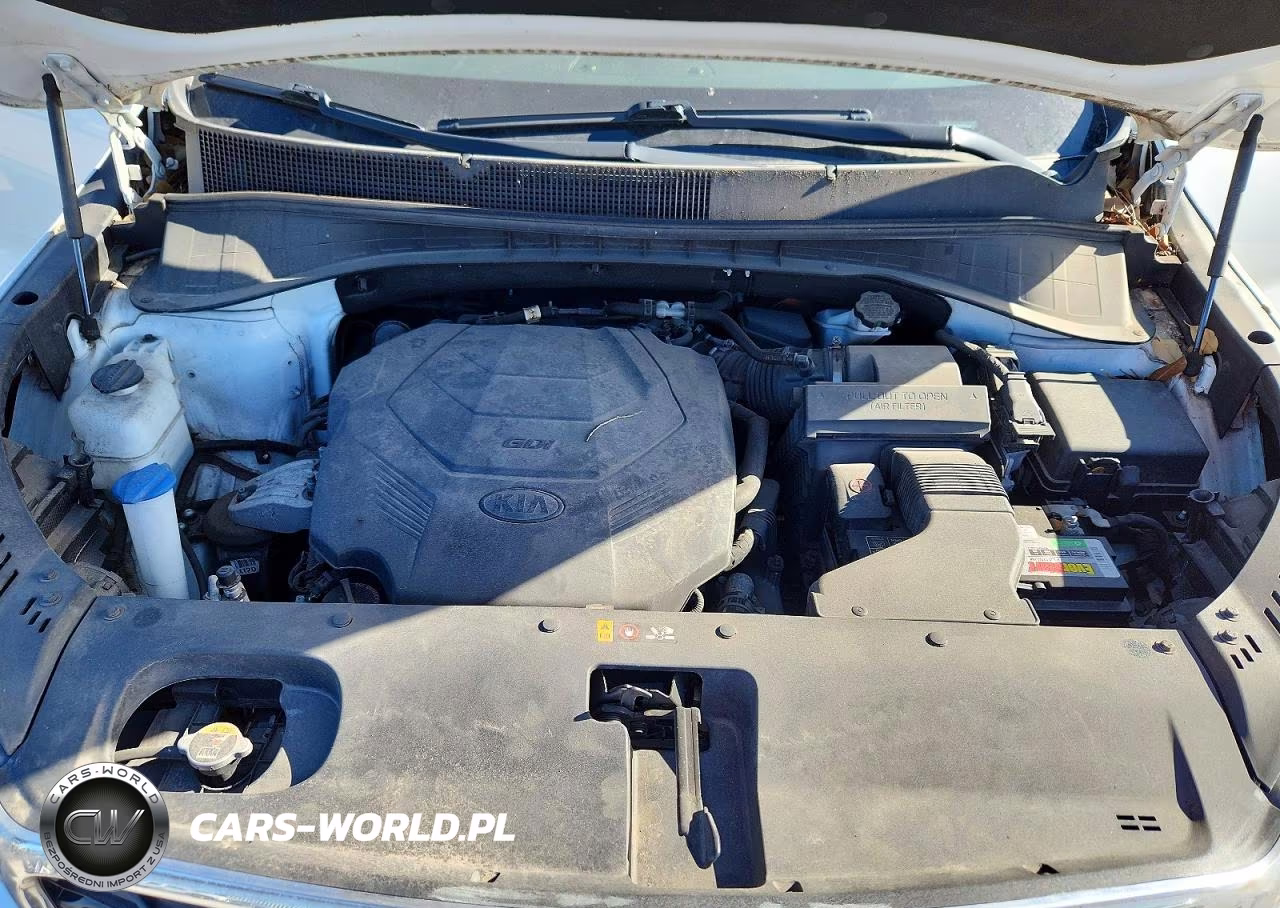 2019 Kia Sorento Lx V6 VIN:5XYPG4A54KG485560 - 12