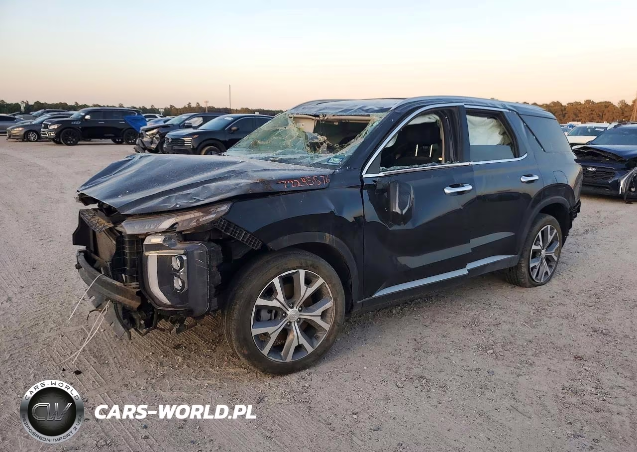 2020 Hyundai Palisade Sel – zdjęcie 1 z 13