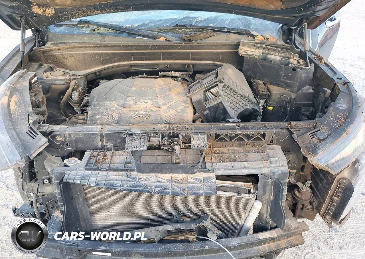 2020 Hyundai Palisade Sel VIN:KM8R44HE8LU147775 - 12