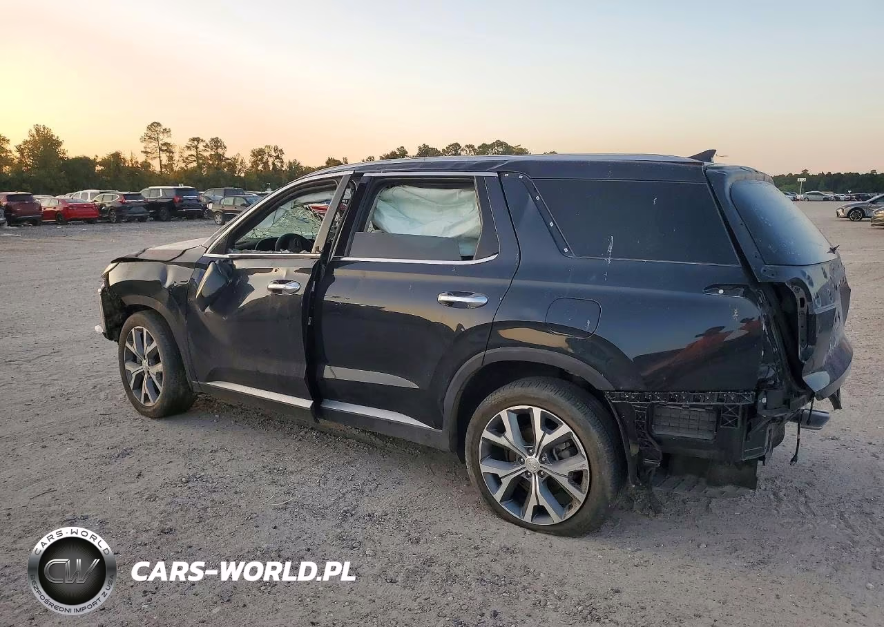 2020 Hyundai Palisade Sel VIN:KM8R44HE8LU147775 - 2