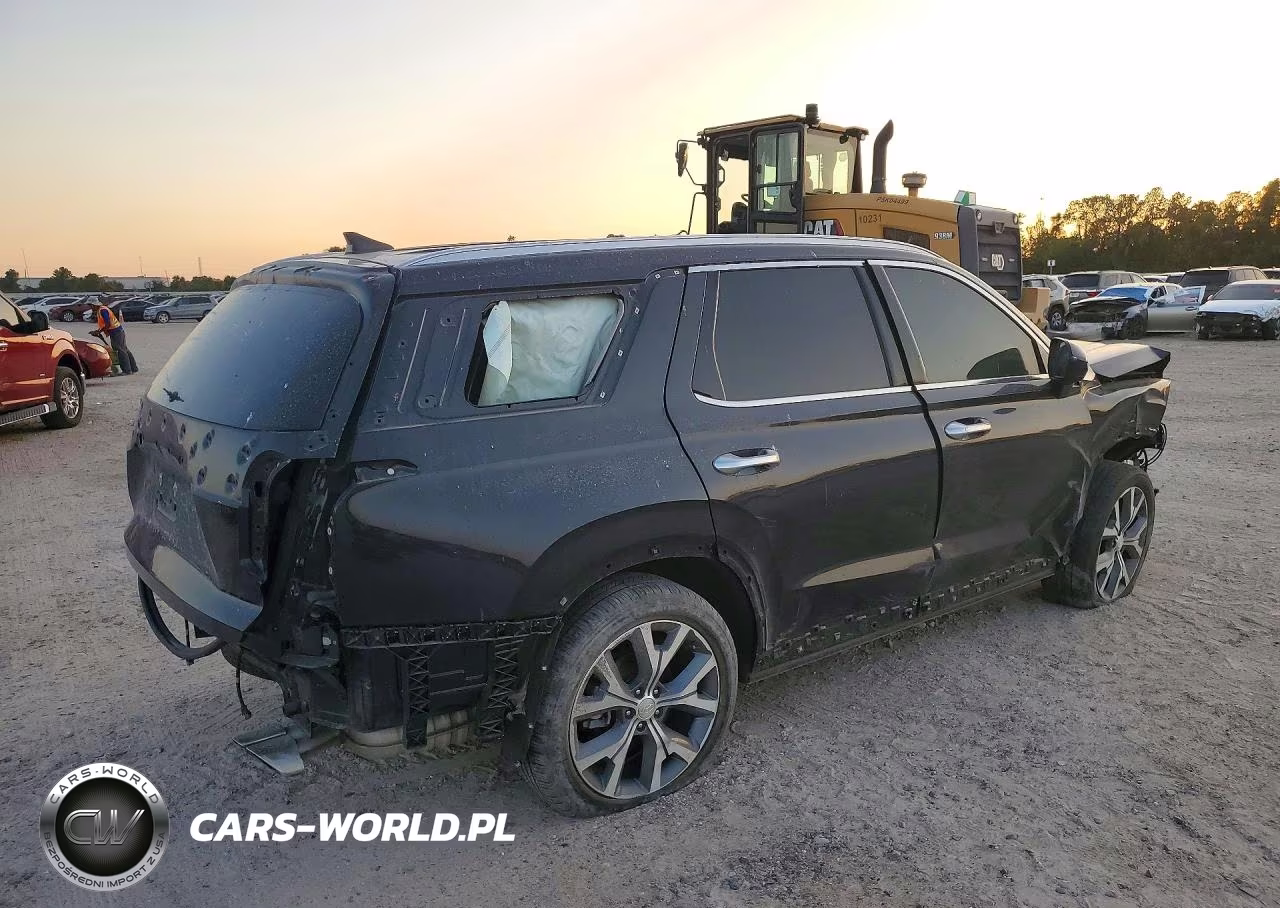 2020 Hyundai Palisade Sel VIN:KM8R44HE8LU147775 - 3