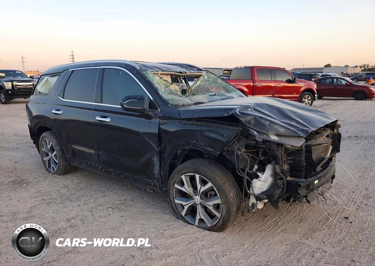 2020 Hyundai Palisade Sel VIN:KM8R44HE8LU147775 - 4