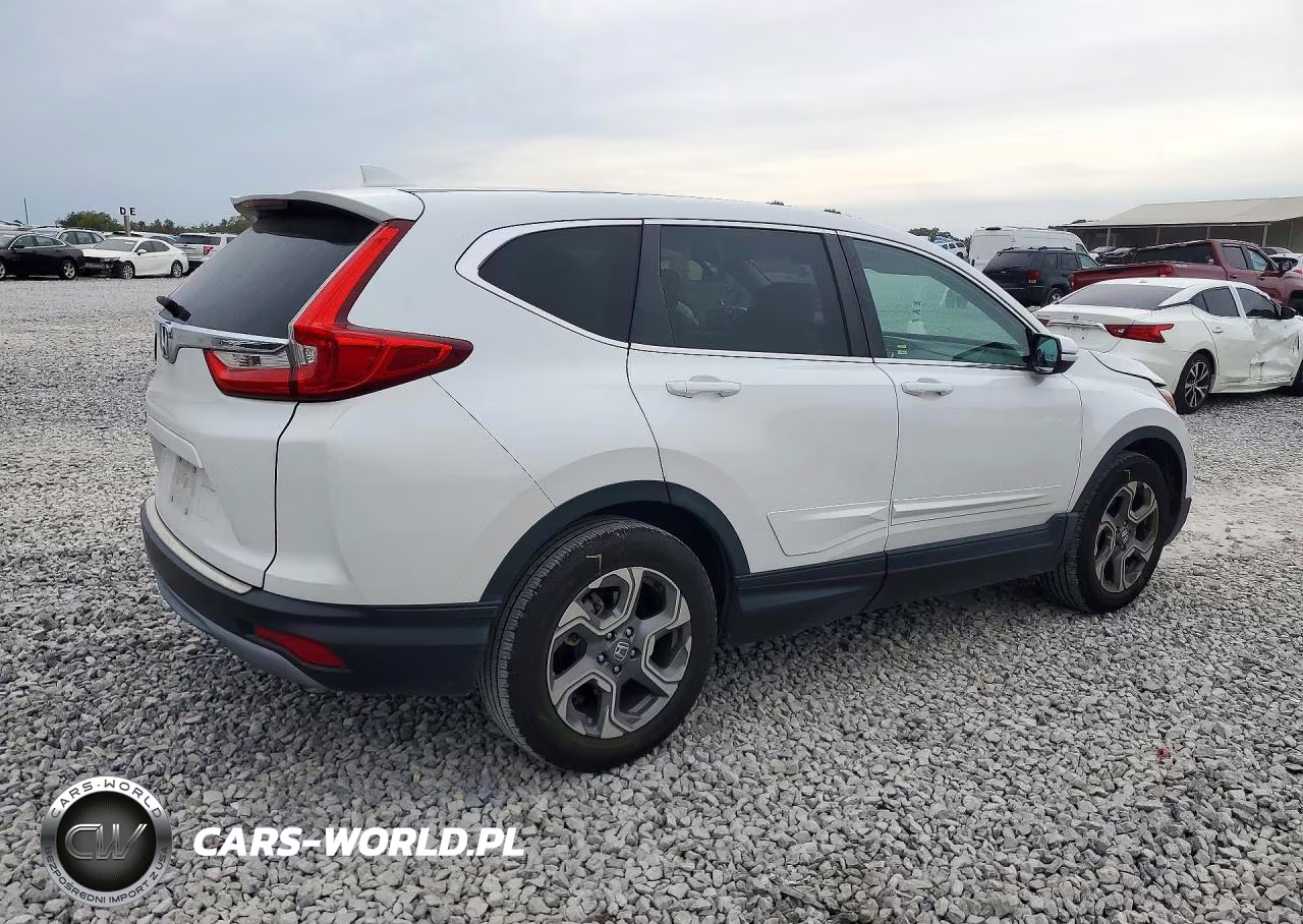 2019 Honda Cr-V Exl VIN:5J6RW1H81KA008685 - 3