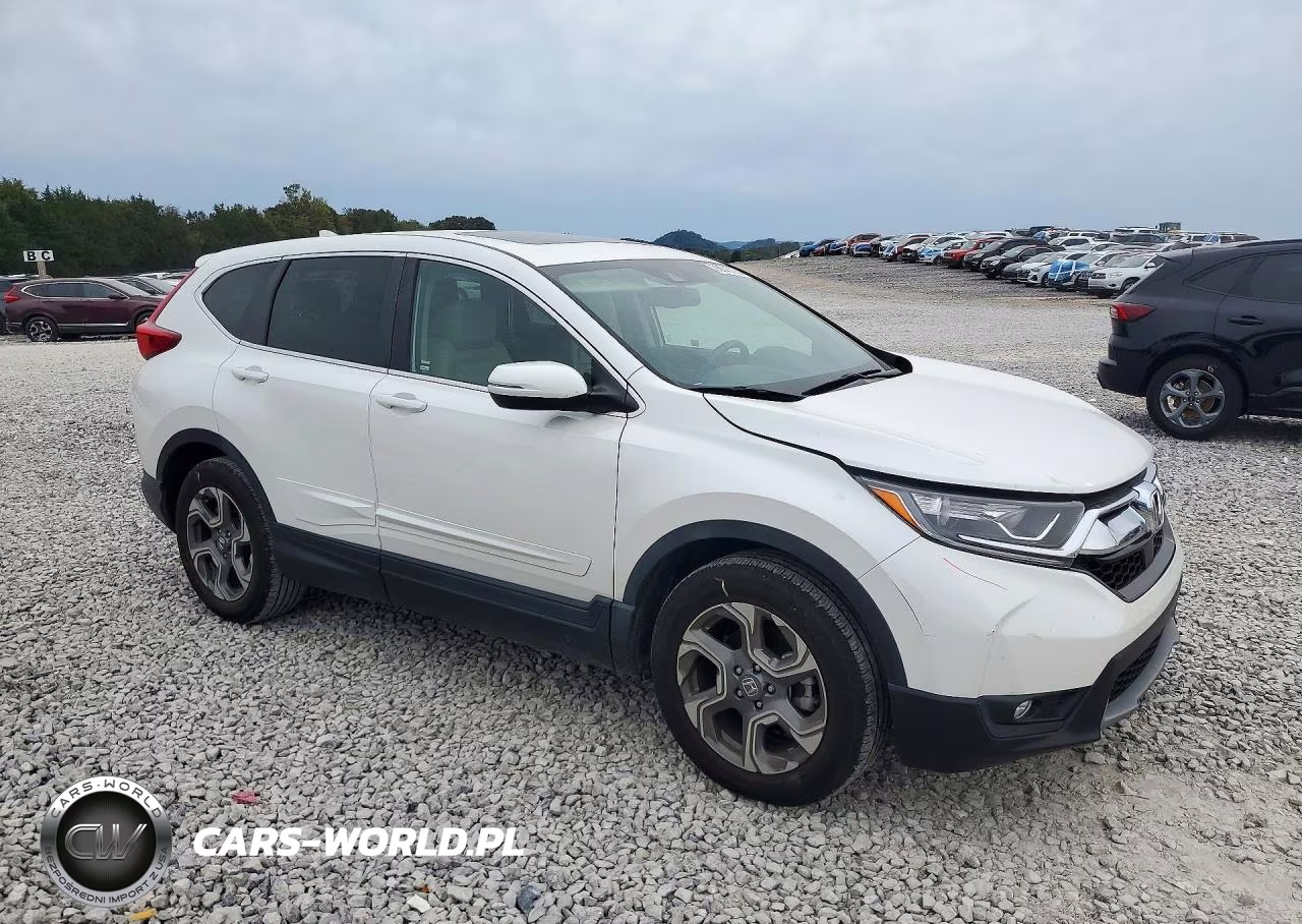 2019 Honda Cr-V Exl VIN:5J6RW1H81KA008685 - 4