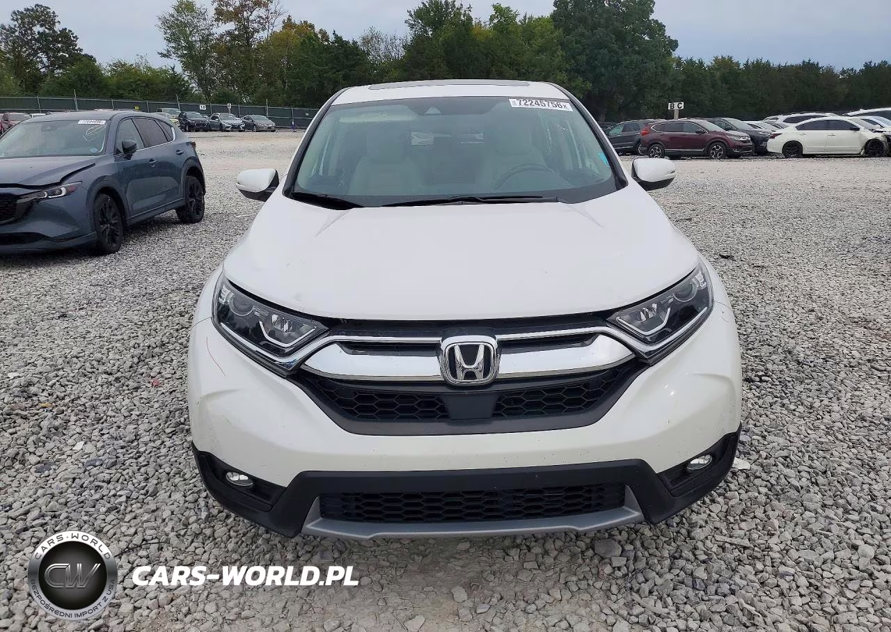 2019 Honda Cr-V Exl VIN:5J6RW1H81KA008685 - 5
