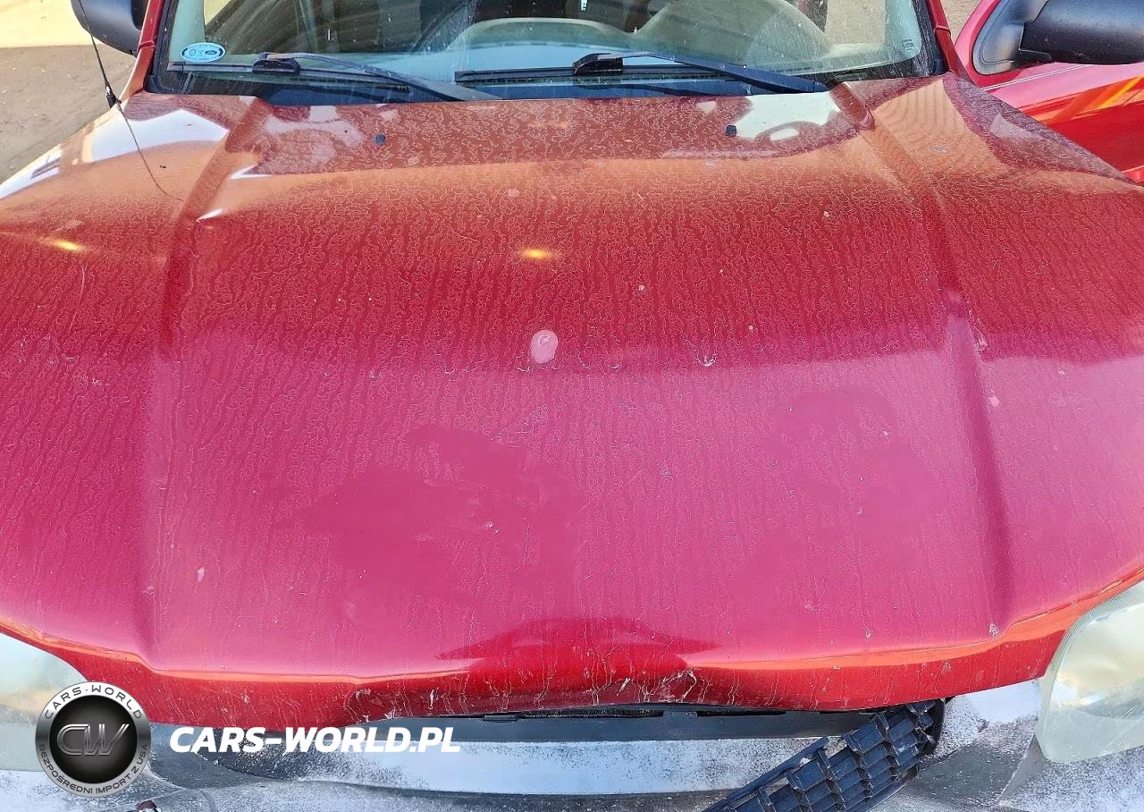 2005 Ford Escape Xls VIN:1FMYU02Z15KB25079 - 11