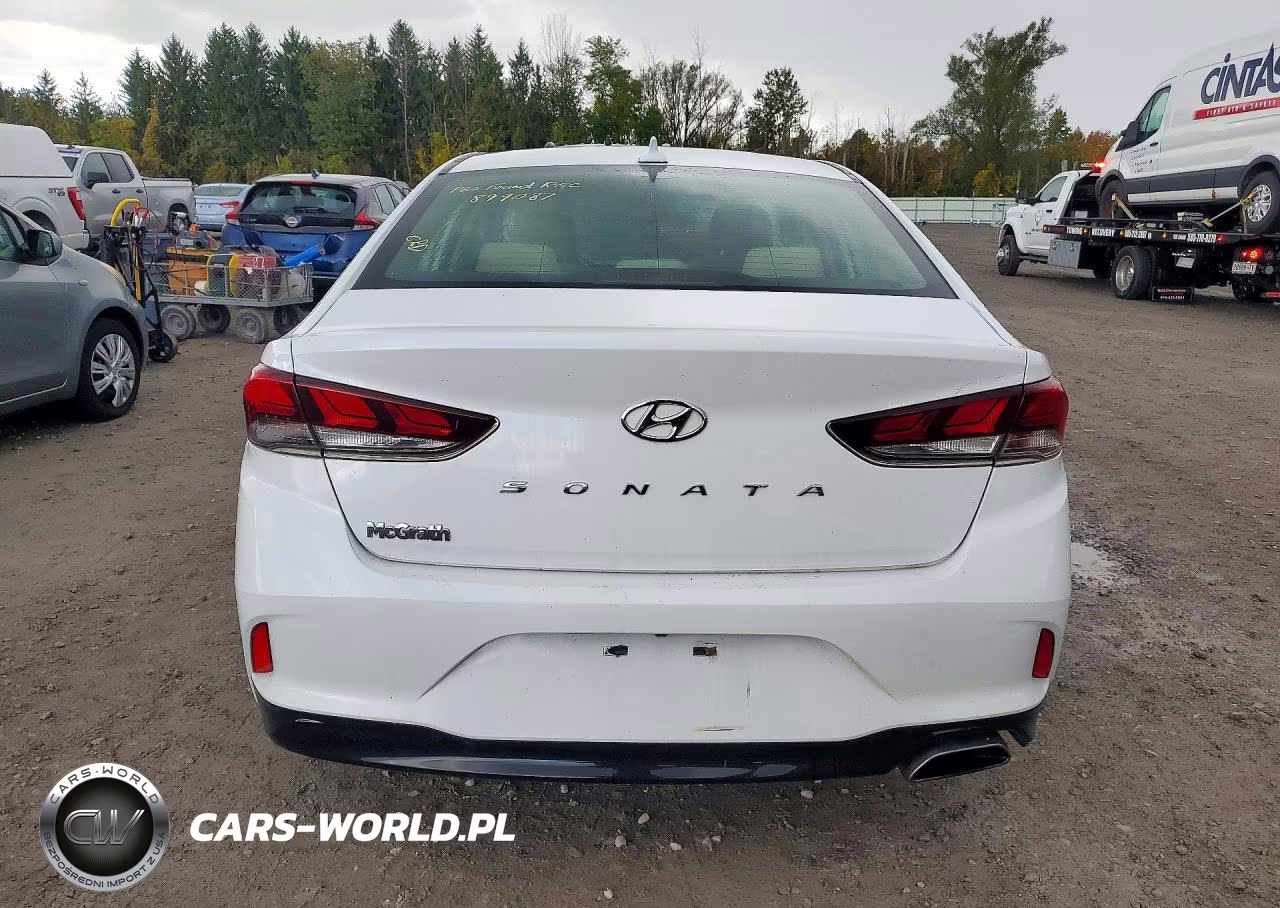 2018 Hyundai Sonata Sel VIN:5NPE34AF3JH641803 - 6
