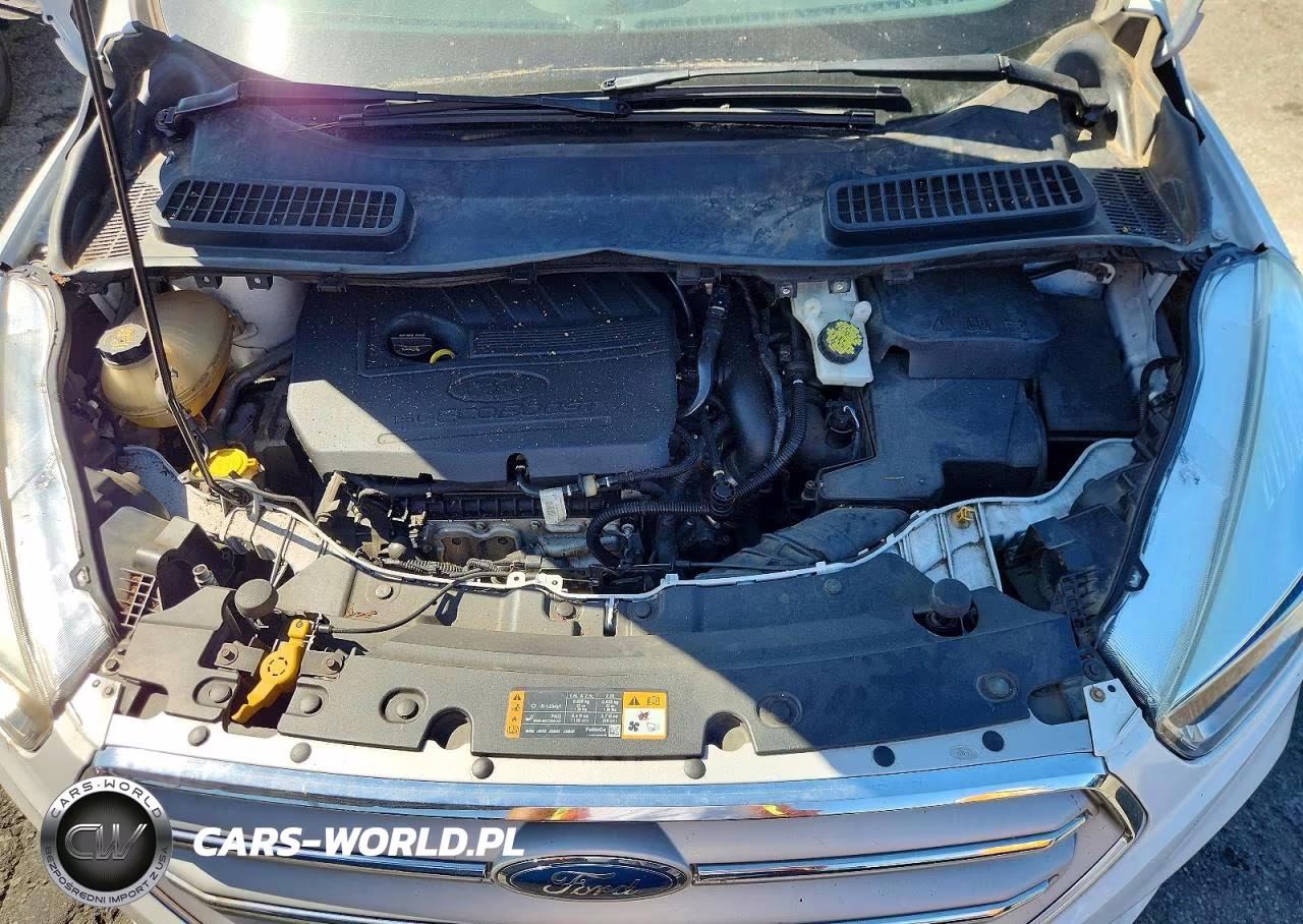 2018 Ford Escape Se VIN:1FMCU9GD7JUD60886 - 12