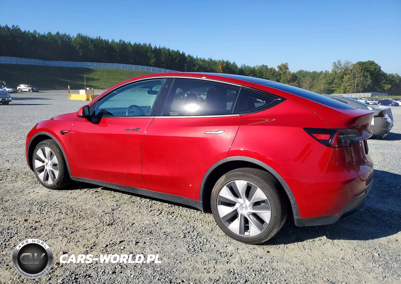 2023 Tesla Model Y VIN:7SAYGDEE3PF673177 - 2