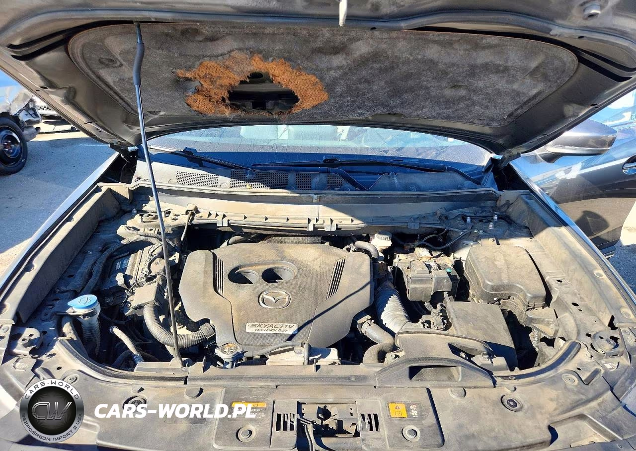 2019 Mazda Cx-9 Grand Touring VIN:JM3TCADY1K0309674 - 12