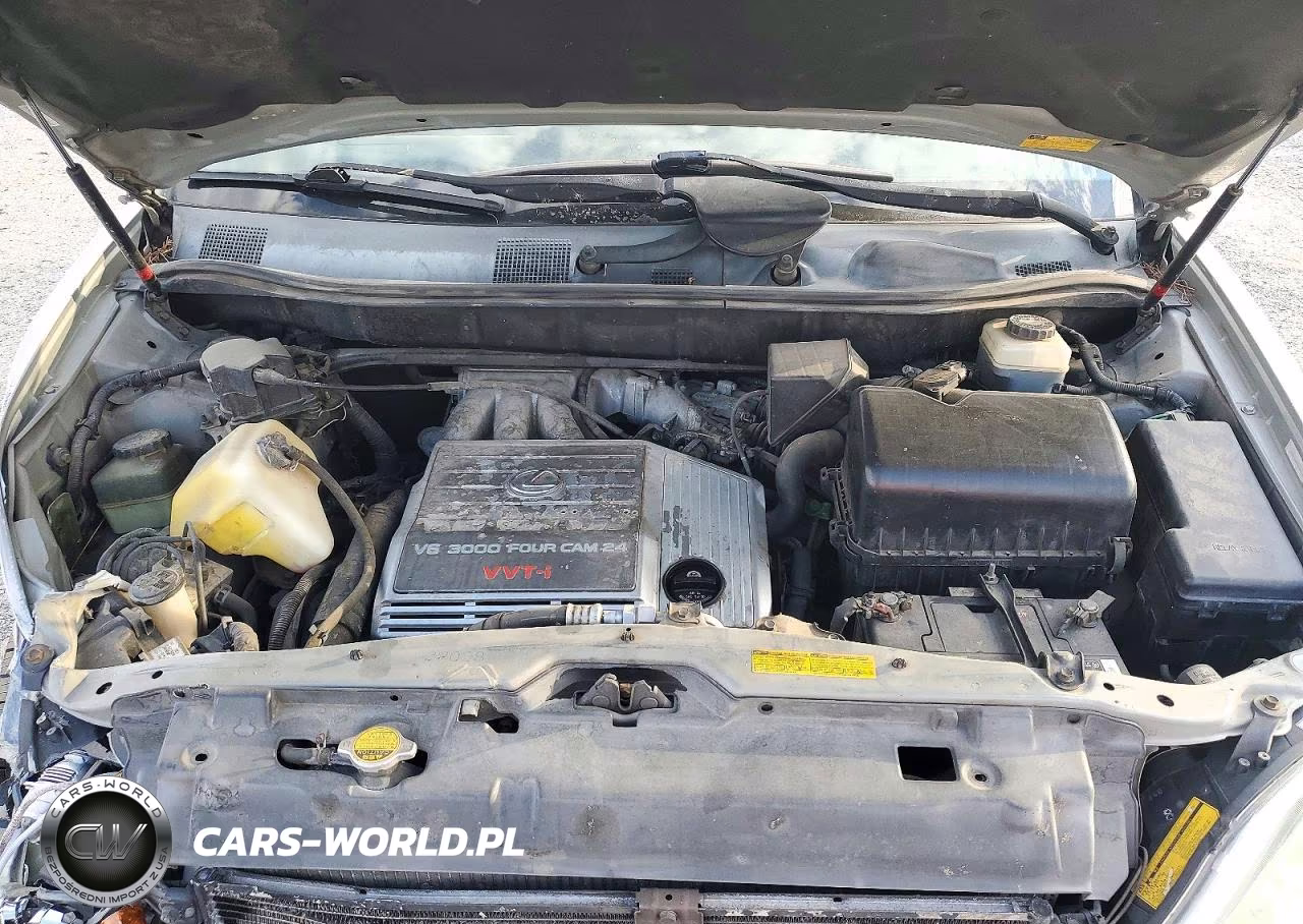 2001 Lexus Rx 300 VIN:JTJHF10UX10217404 - 12