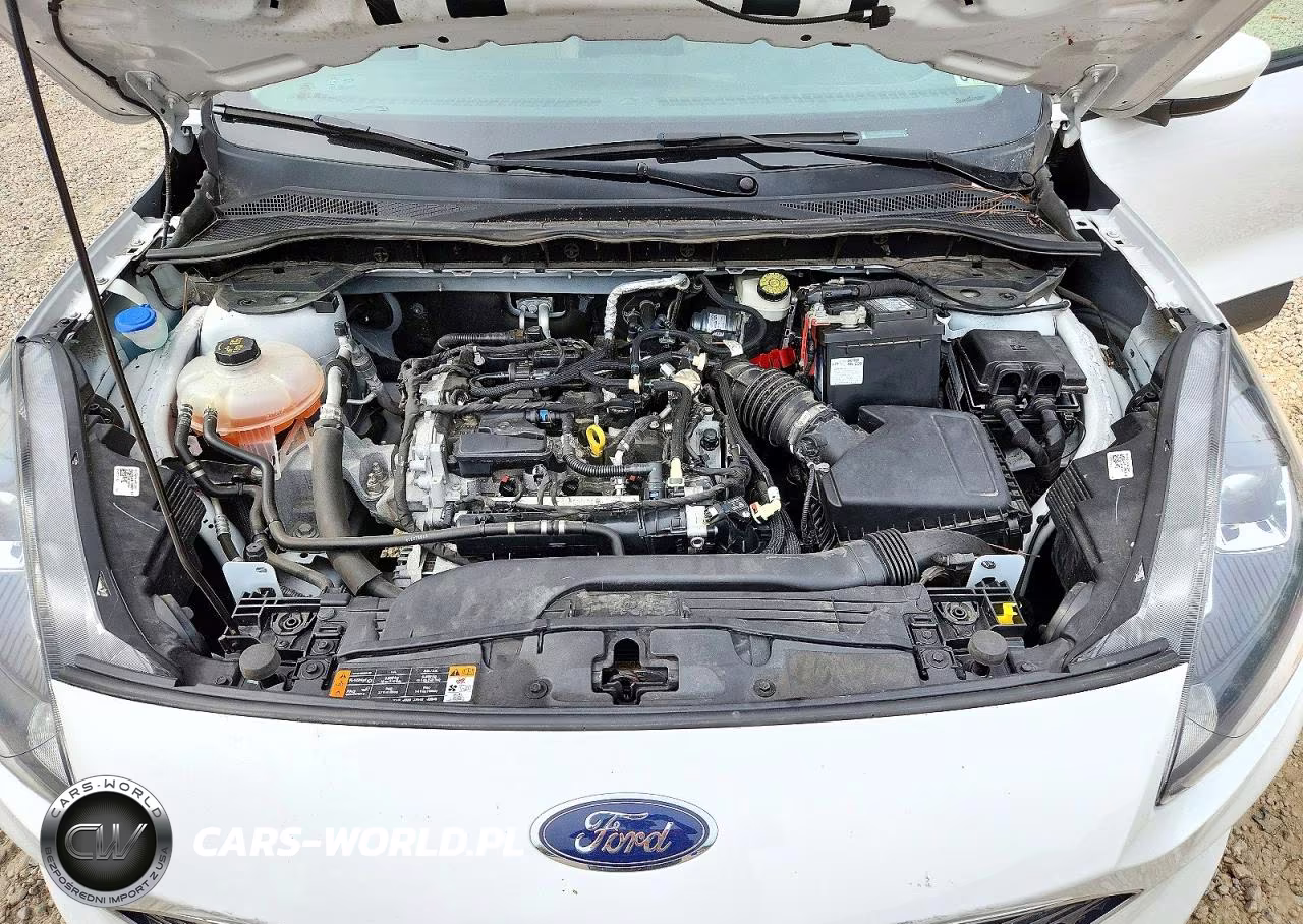 2022 Ford Escape Sel VIN:1FMCU9H65NUA06550 - 12