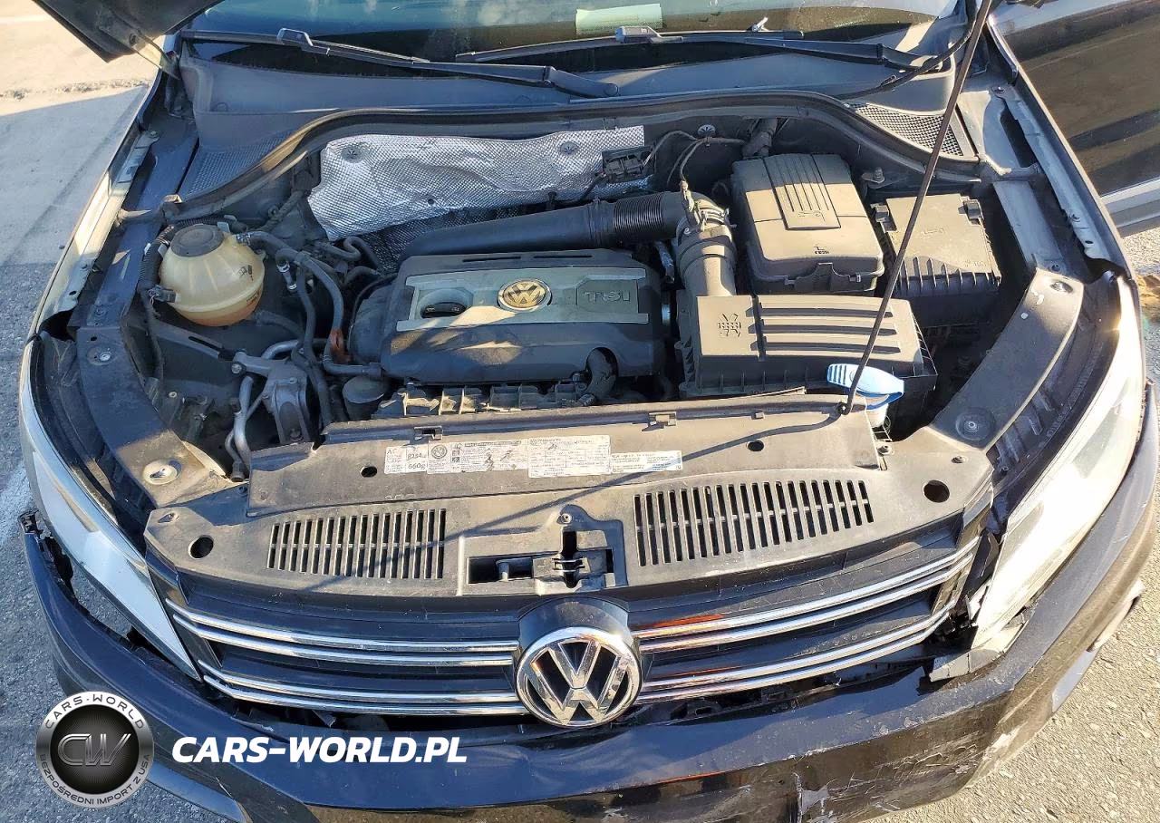 2012 Volkswagen Tiguan S VIN:WVGAV7AX8CW510331 - 12
