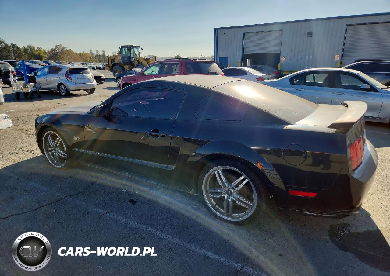 2006 Ford Mustang Gt VIN:1ZVFT82H265230926 - 2