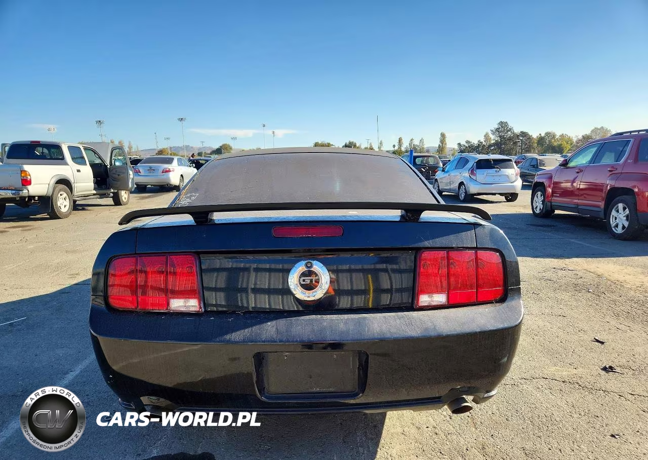 2006 Ford Mustang Gt VIN:1ZVFT82H265230926 - 6