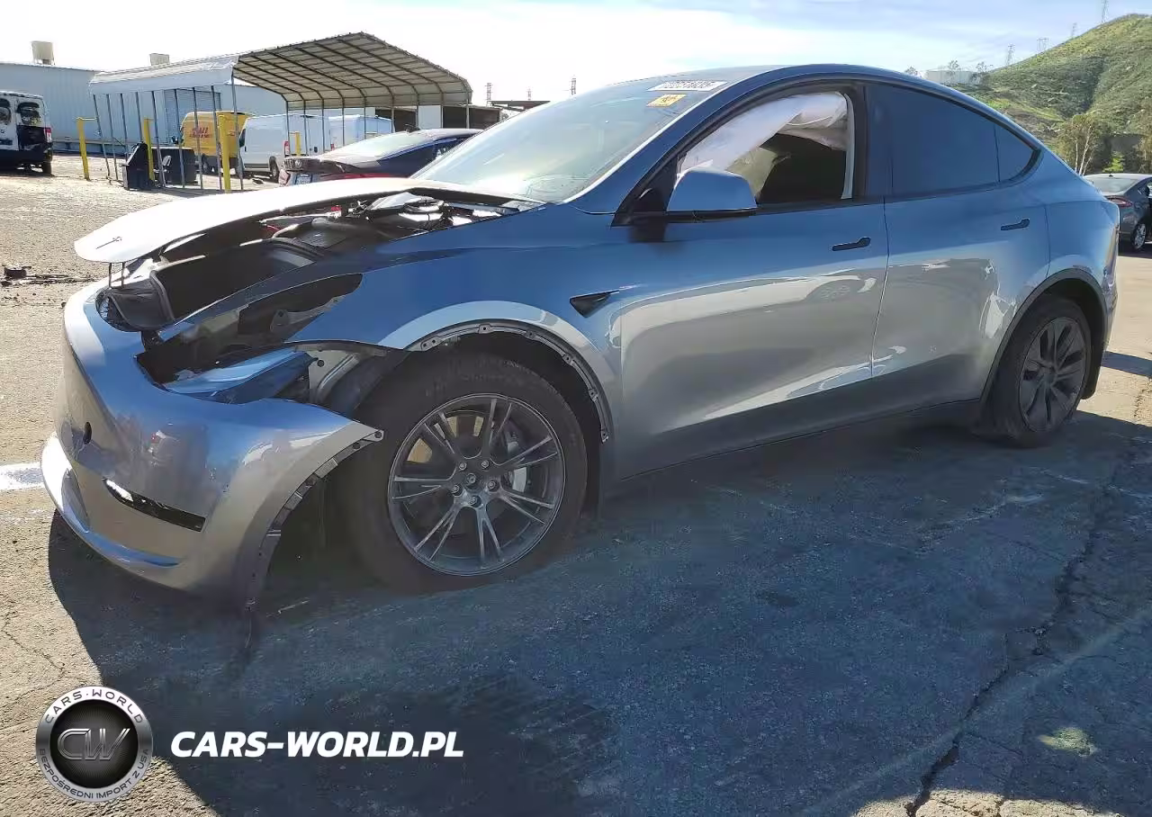2024 Tesla Model Y